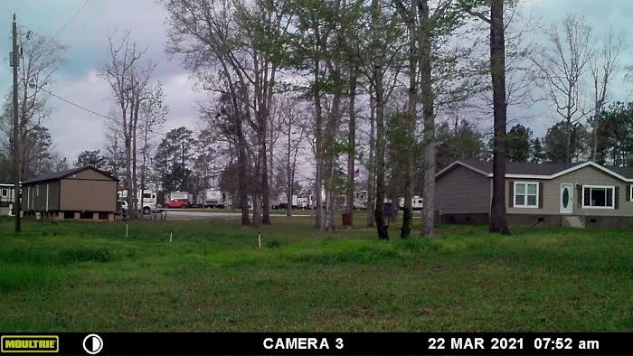 Arlington RV Park Picture 3