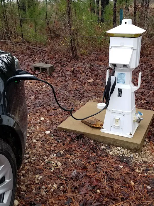 Arlington RV Park Picture 7