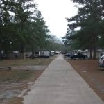 Ronnie Bolton Elimelech Mobile