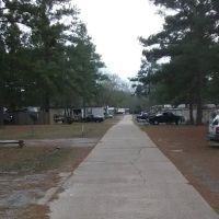 Ronnie Bolton Elimelech Mobile ico