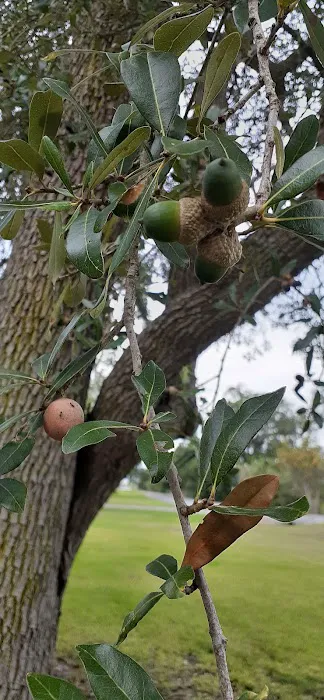 Amoco RV Park Picture 9