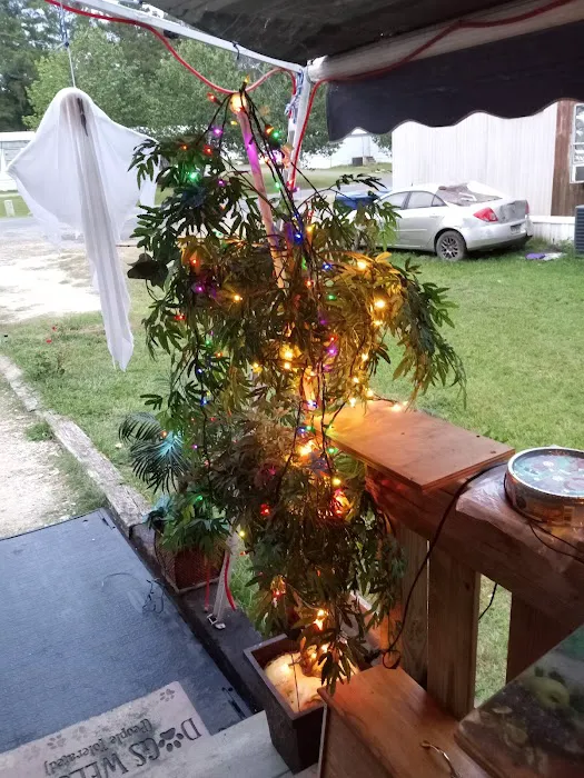 Bynog's Trailer Park Picture 7