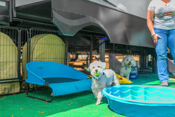 Shady Lake RV Park Picture 6