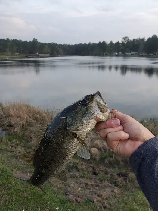 Alligator Lake RV Park Picture 5
