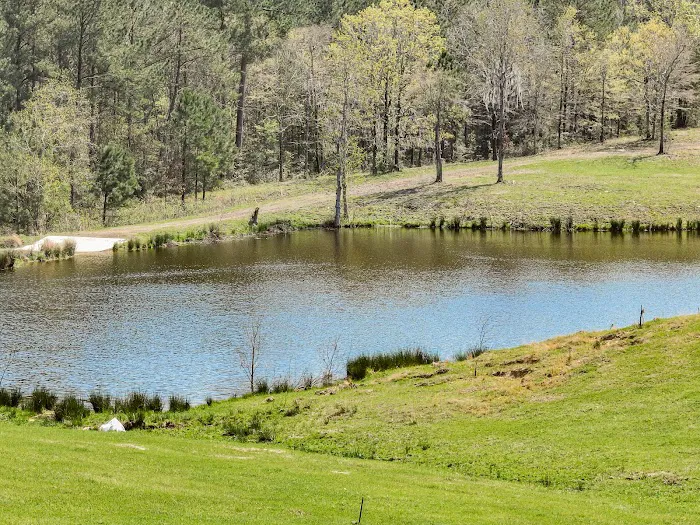 RV Park at Longhorn Meadows Picture 7