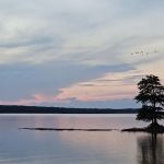 Shady Oaks Marina & RV Park