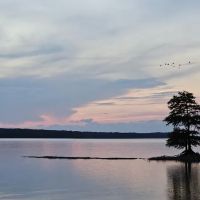 Shady Oaks Marina & RV Park ico