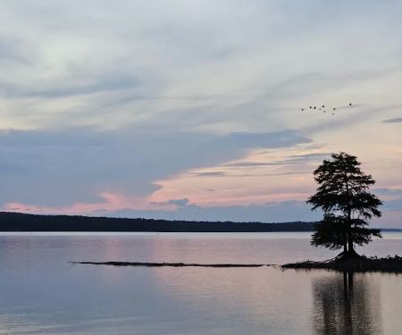 Shady Oaks Marina & RV Park