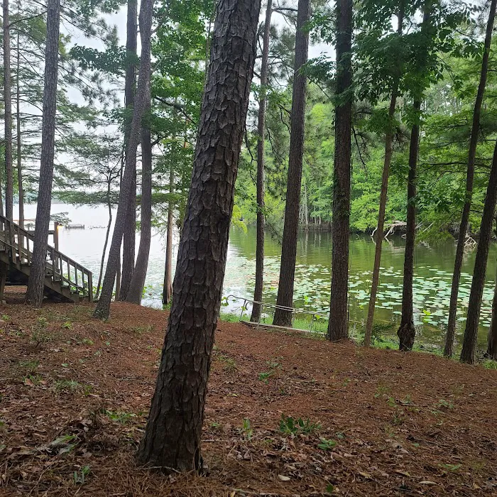 Mill Creek Bay RV Park Picture 3