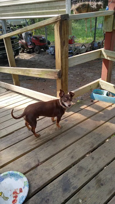 Mill Creek Bay RV Park Picture 10