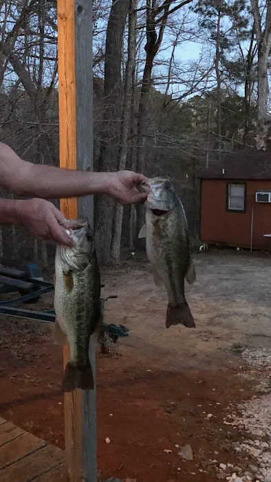 Mt Richard RV Park Picture 4