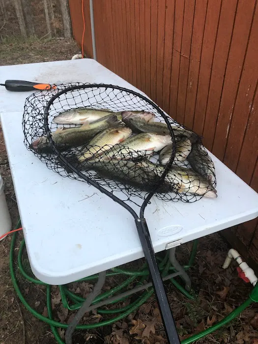 Mt Richard RV Park Picture 10