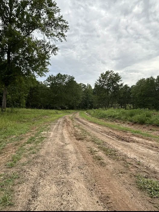 Miller Springs RV Park Picture 1