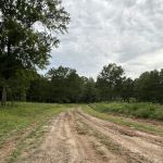 Miller Springs RV Park