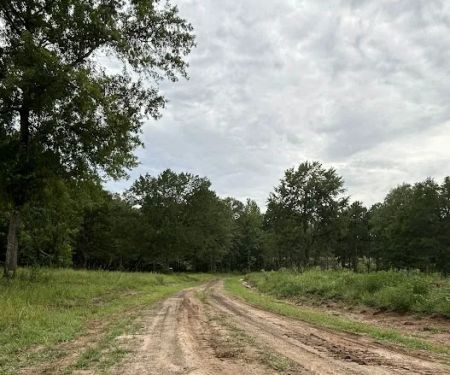 Miller Springs RV Park