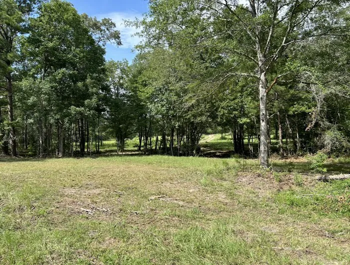 Miller Springs RV Park Picture 2