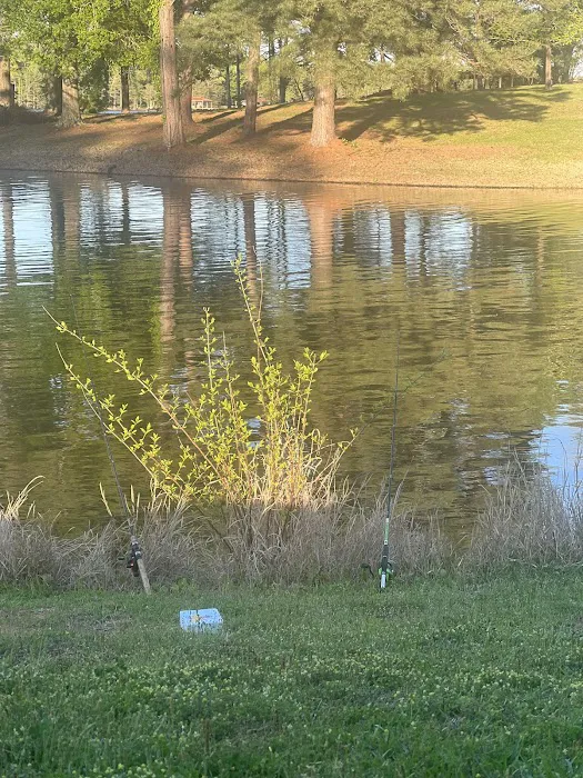 Toledo Bend RV Resort and Cabins Picture 2