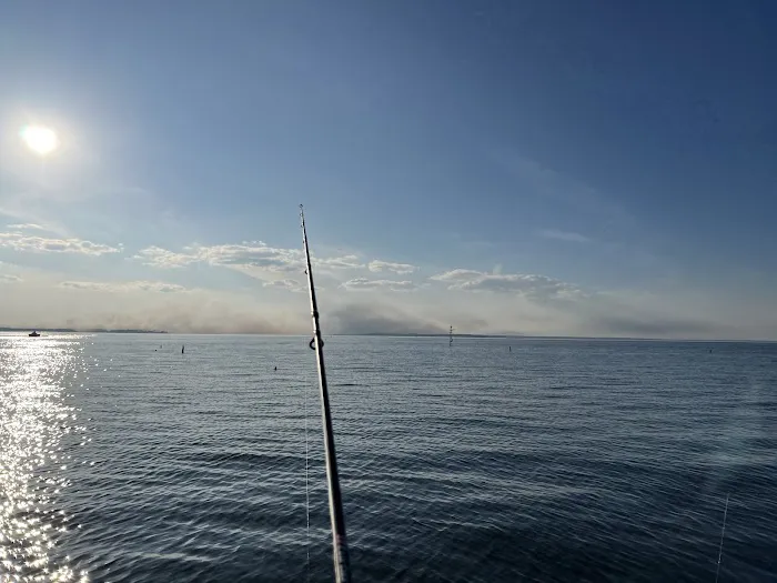 Toledo Bend RV Resort and Cabins Picture 8