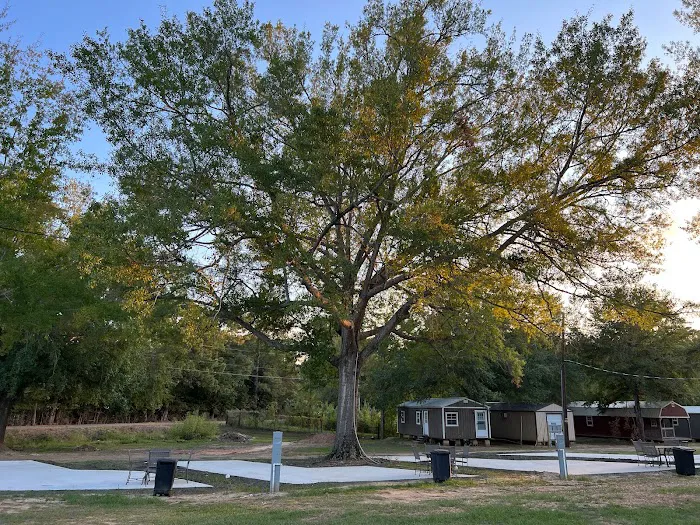 Driftwood RV Park and Cabins by the lake Picture 10