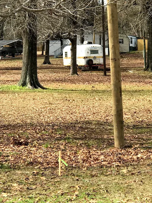 Best Park RV Park and Marina Picture 9