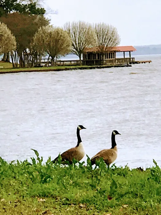 Best Park RV Park and Marina Picture 7