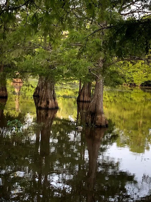 Zwolle Rv Park Picture 2