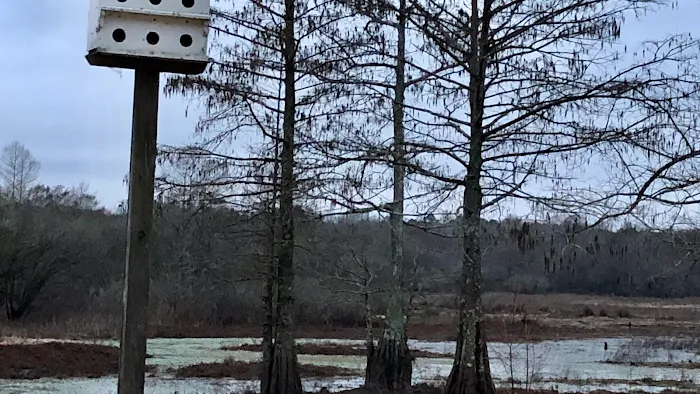 Zwolle Rv Park Picture 4