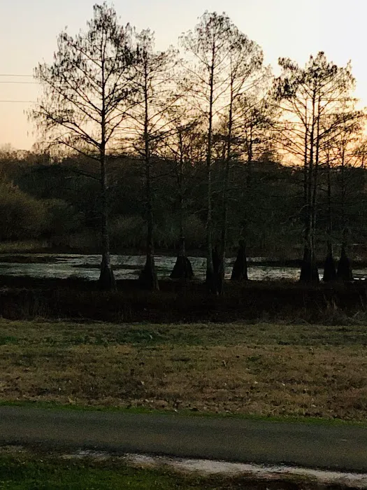 Zwolle Rv Park Picture 6