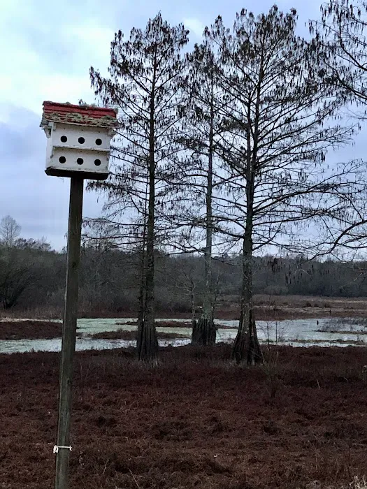 Zwolle Rv Park Picture 5