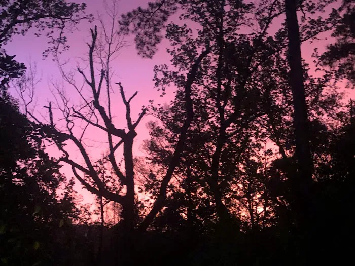 Big Pines Rv Park Picture 1