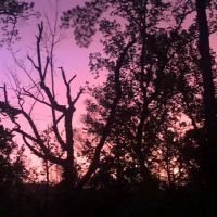 Big Pines Rv Park ico