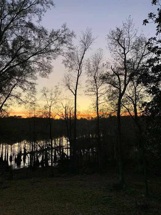 Big Pines Rv Park Picture 2