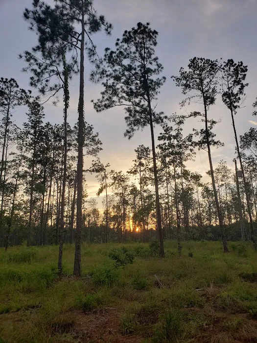 Blessing Trails RV Park Picture 1