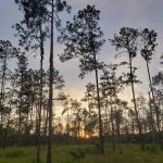 Blessing Trails RV Park