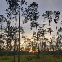 Blessing Trails RV Park ico