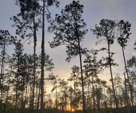 Blessing Trails RV Park