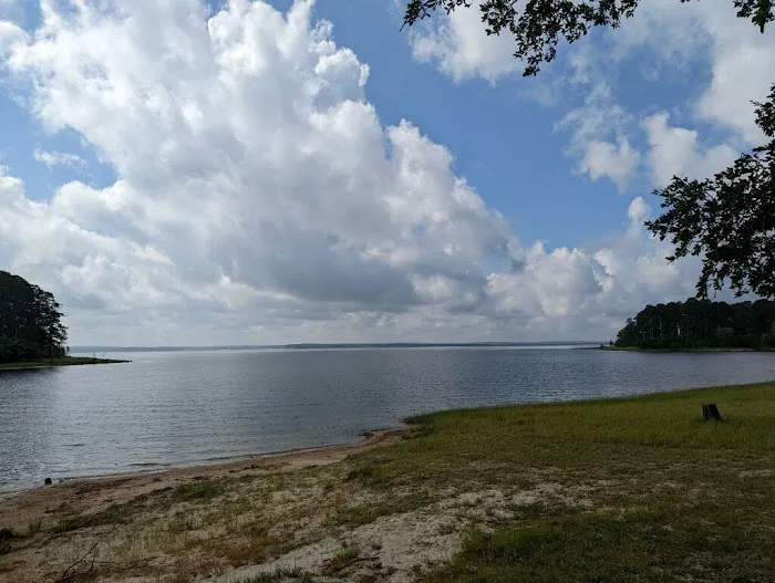 Farmer's Cove RV Park Picture 4