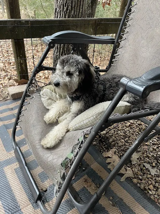 Rayburn RV Hideout Picture 3