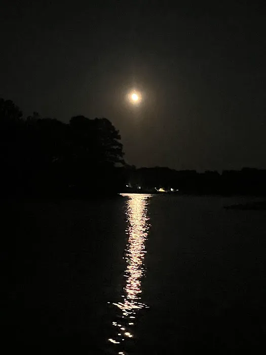 Converse Bay RV Park Picture 1