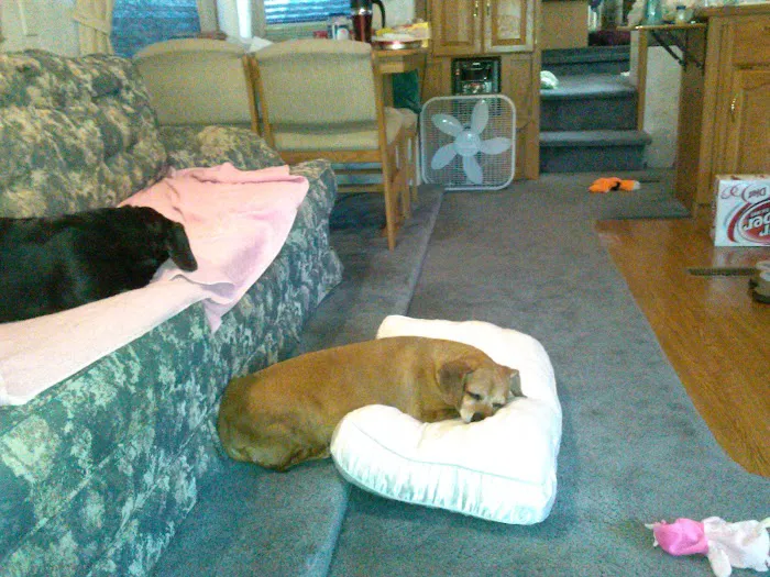 Double Heart Ranch & RV Park Picture 9