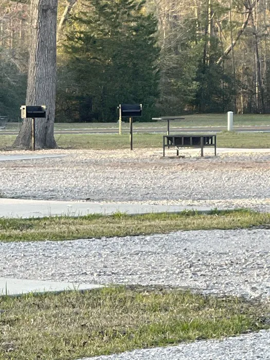 Auntie M's RV Park Picture 7