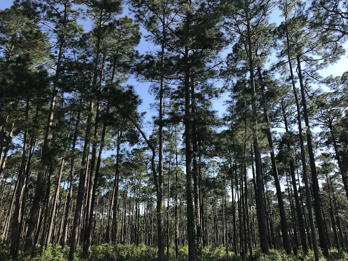 Texas Airstream Harbor Picture 6