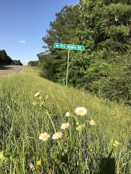 Texas Airstream Harbor Picture 10