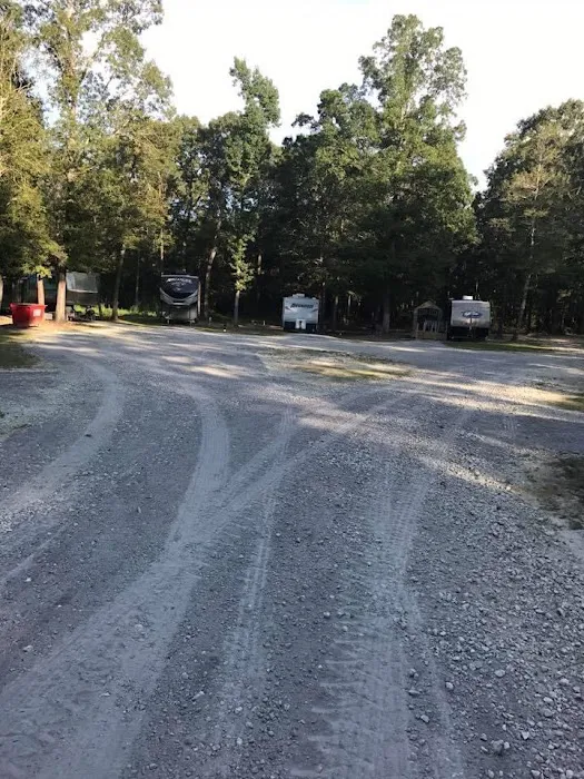 Bullfrogs & Butterflies RV Park Picture 7