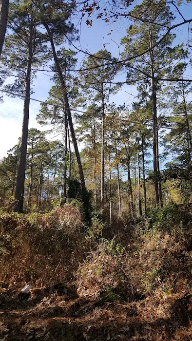 Bullfrogs & Butterflies RV Park Picture 9