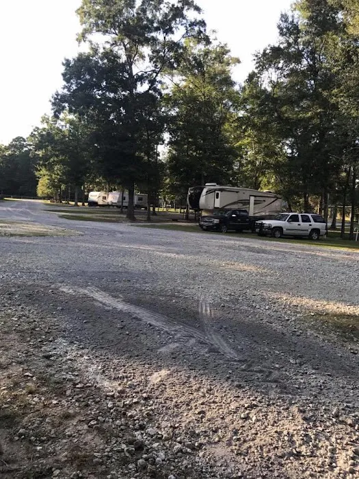 Bullfrogs & Butterflies RV Park Picture 4