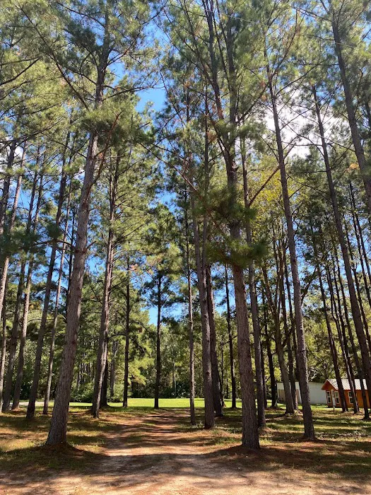 Nestled Pines RV Park Picture 5