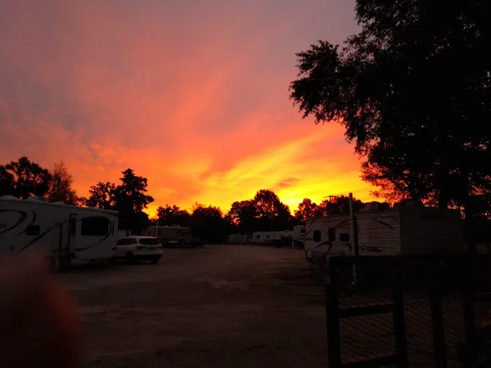 Shady S RV Park Picture 3