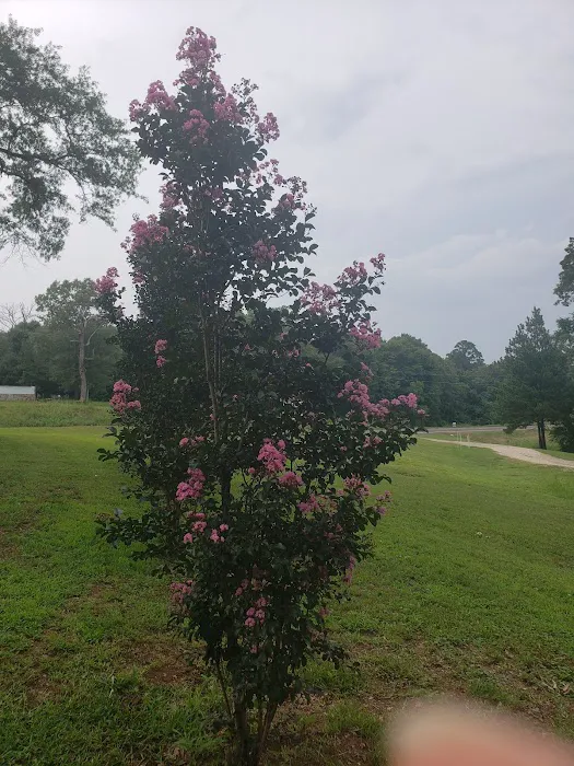 Countryside RV Park Picture 8