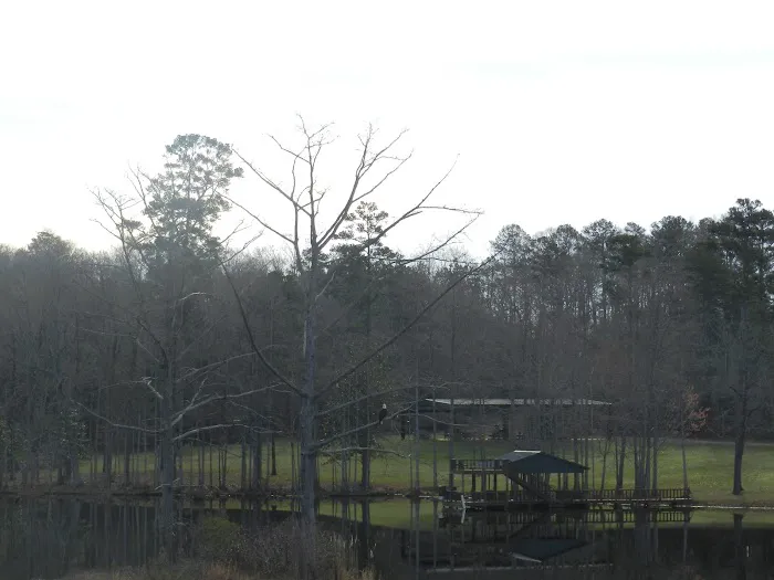 Busters Private RV Park Picture 9